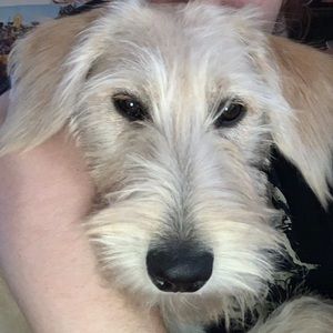 Meet your Posher, Bre